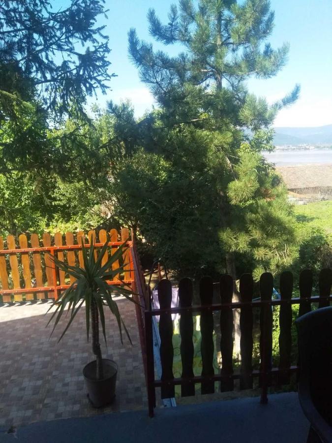 Family Apartman Ana - Star Golubac Exterior foto