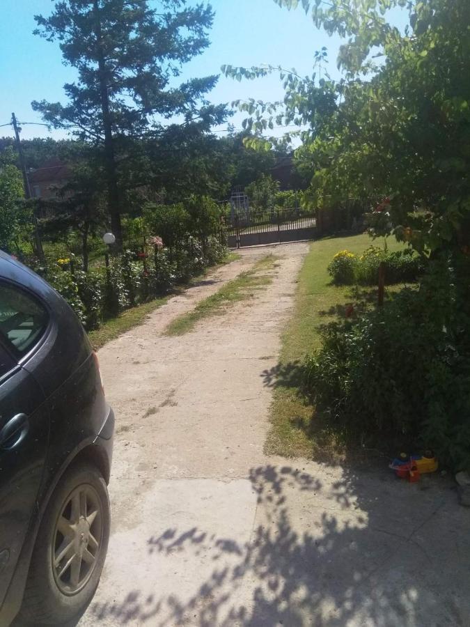 Family Apartman Ana - Star Golubac Exterior foto
