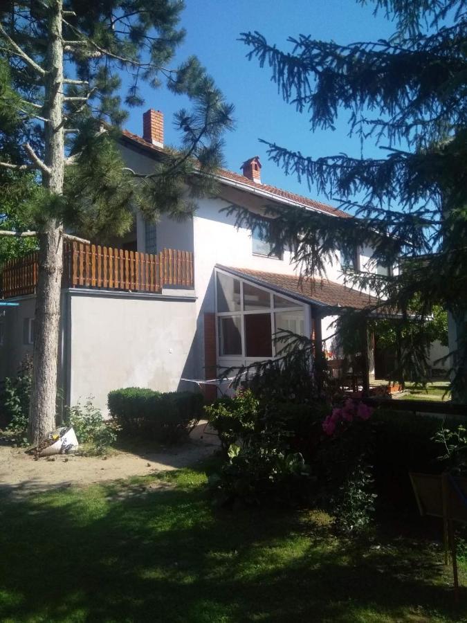 Family Apartman Ana - Star Golubac Exterior foto