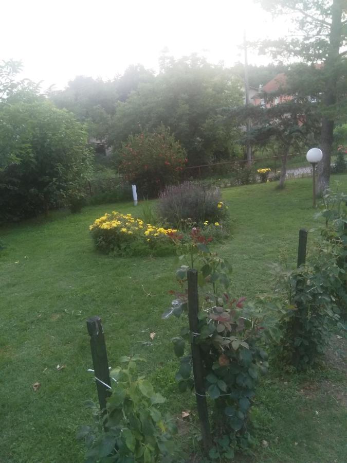 Family Apartman Ana - Star Golubac Exterior foto