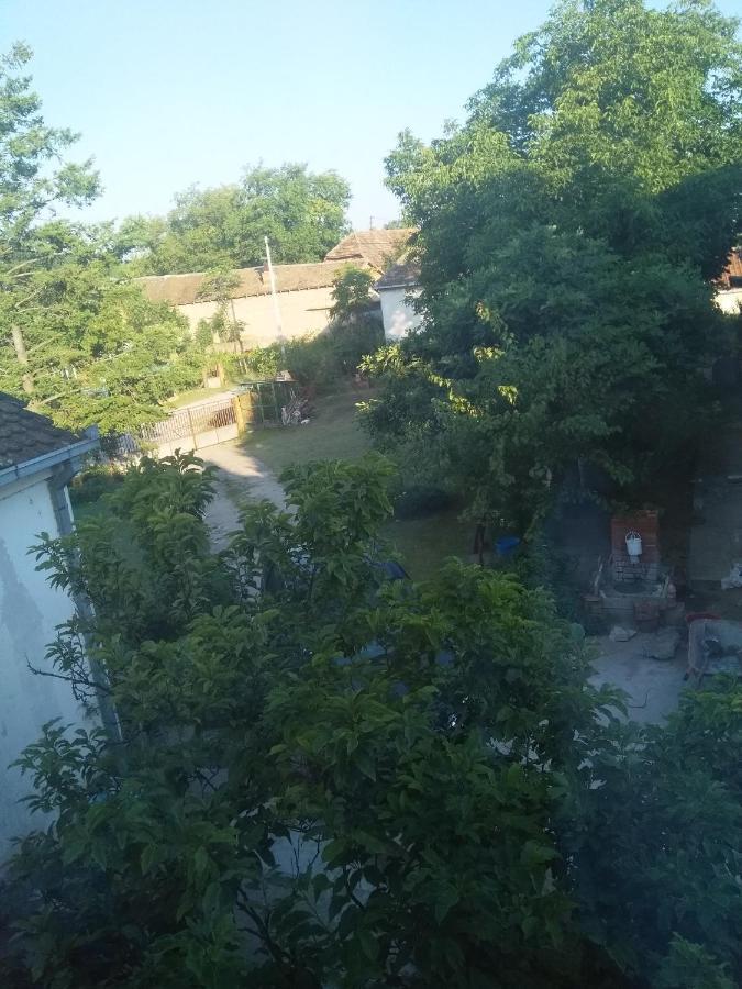 Family Apartman Ana - Star Golubac Exterior foto